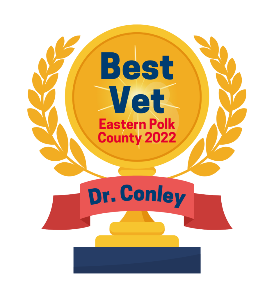 Veterinarian in Bondurant, IA Animal Hospital